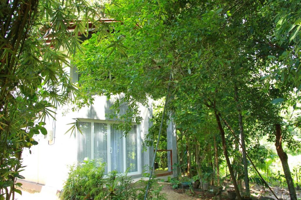 히카두와 Executive Residency Retreat 빌라 외부 사진