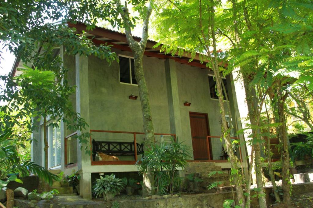 히카두와 Executive Residency Retreat 빌라 외부 사진